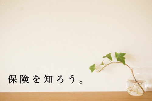 保険ノーガード30歳１児の母が保険に入るまでの成長記録～基本の３種類編～