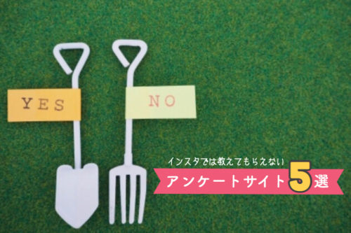 友達紹介なし！インスタでは教えてもらえない、自力で稼げるアンケートサイトを５つ紹介しよう。【ポイ活】